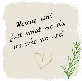 Strapline - Rescue isn't just what we do, its who we are.